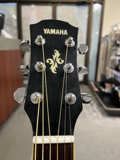 Yamaha - APX600 OBB 4
